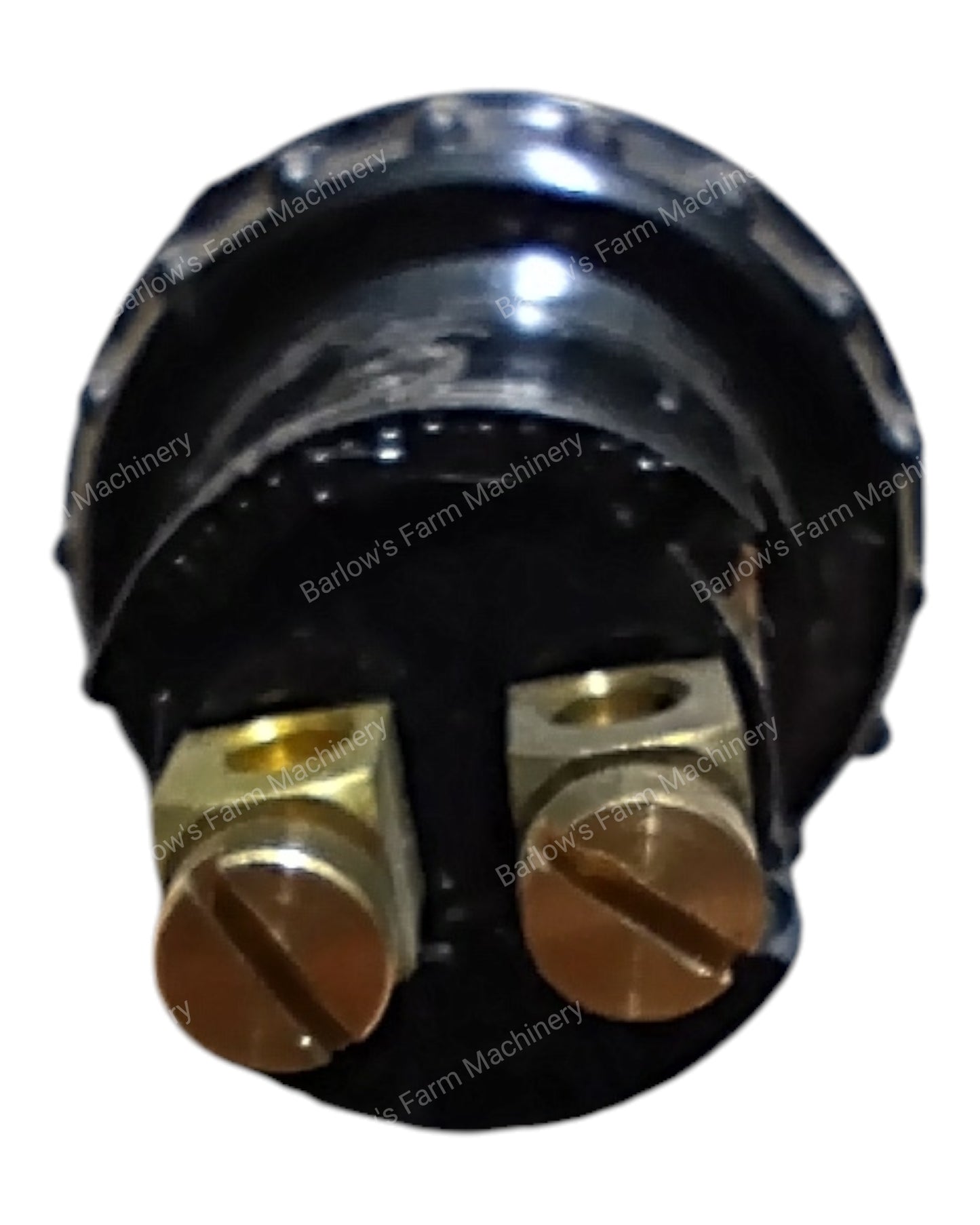 Horn Switch (Genuine)